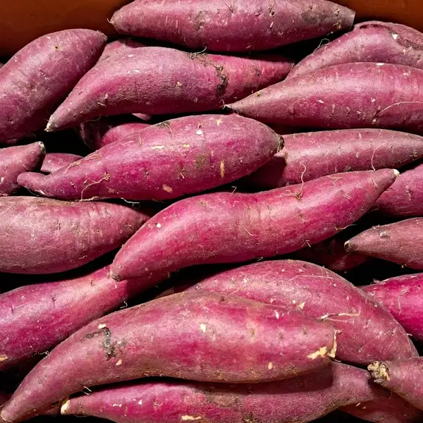 오! 달구마 오리지날 밤고구마10kg(무료배송) - 2번째 이미지
