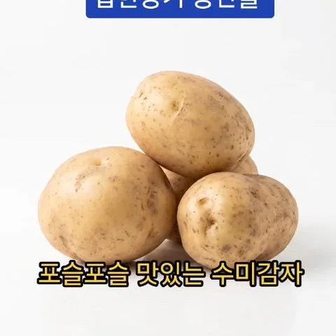 감자판매 포슬포슬 강원도 햇감자 수미감자 5kg - 3번째 이미지